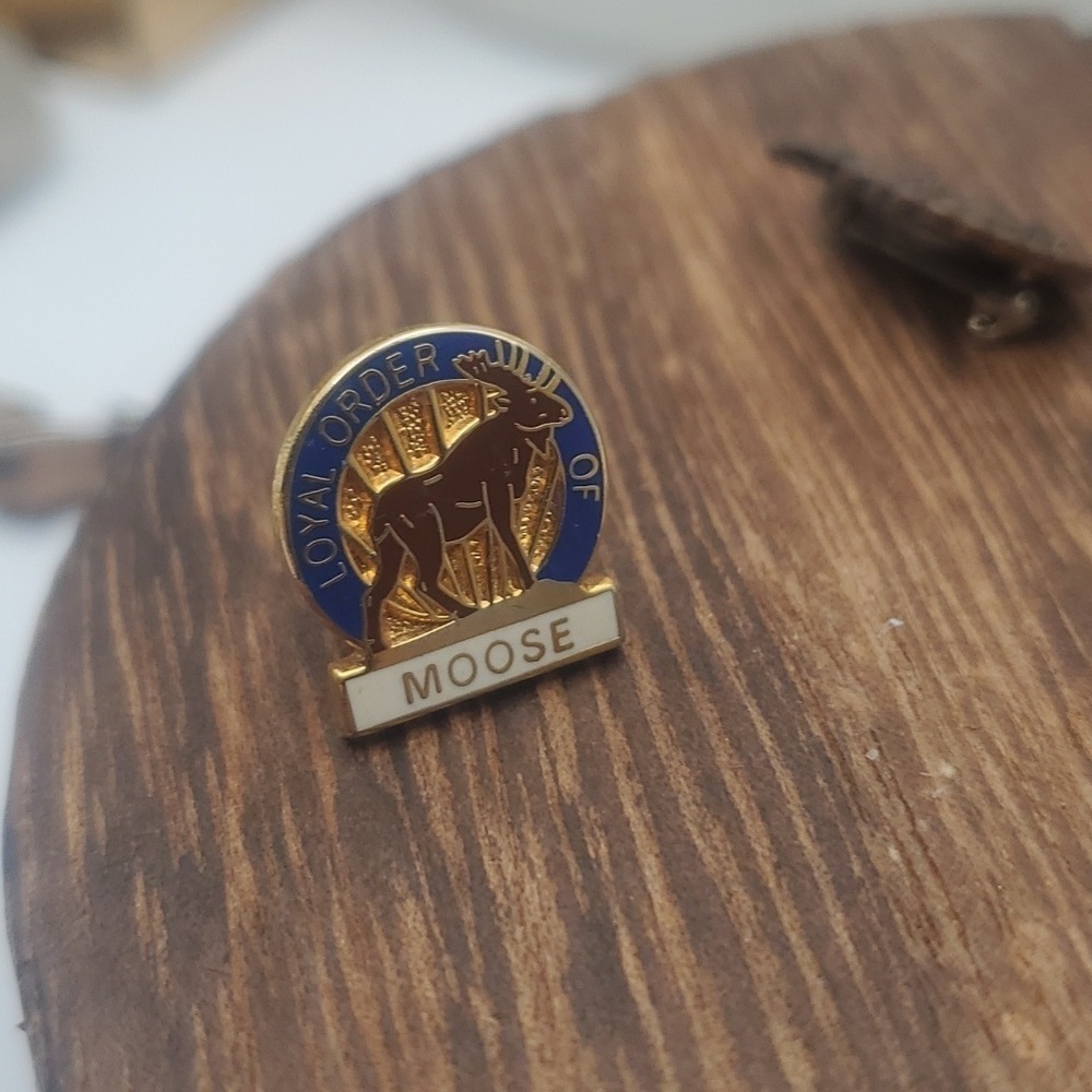B623 loyal order moose lodge pin vintage